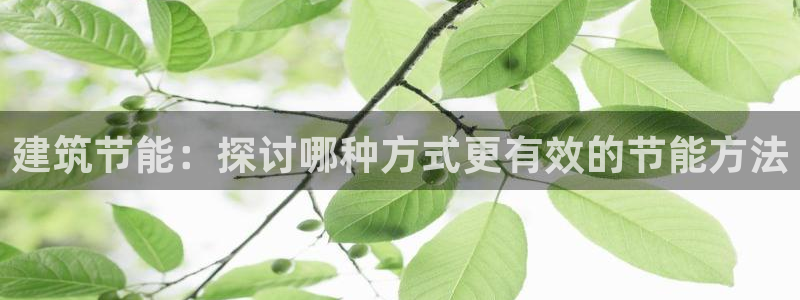 e尊国际客户端下载：建筑节能：探讨哪种方式更有效的节能方法