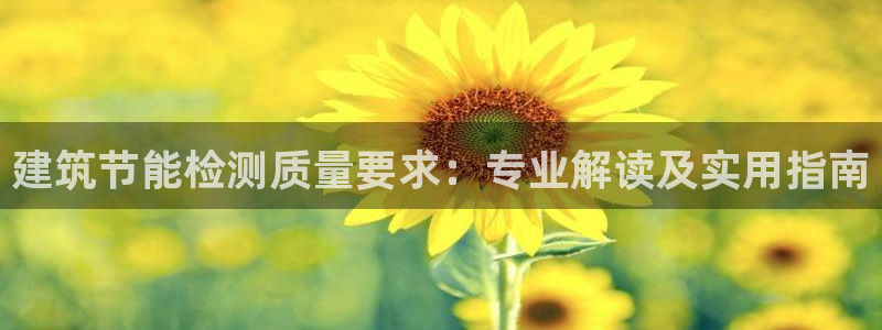 e尊国际的手机登录网站：建筑节能检测质量要求：专业解读及实用指南