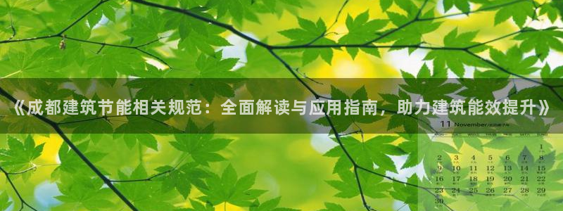 e尊国际是干什么的：《成都建筑节能相关规范：全面解读与应用指南，助力建筑能效提升》
