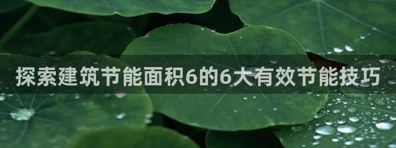 谁知道e尊国际的网址：探索建筑节能面积6的6大有效节能技巧