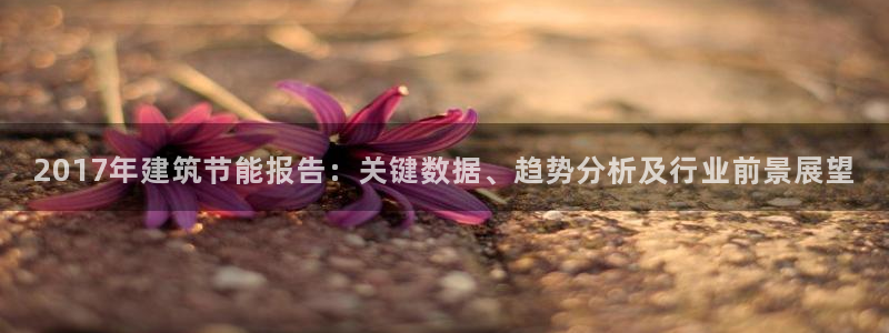 e尊平台：2017年建筑节能报告：关键数据、趋势分析及行业前景展望