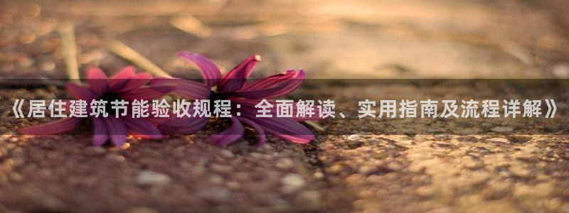 e尊国际-可可计划：《居住建筑节能验收规程：全面解读、实用指南及流程详解》