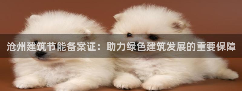 e尊国际客户端：沧州建筑节能备案证：助力绿色建筑发展的重要保障