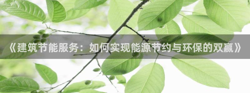 E尊国际网站：《建筑节能服务：如何实现能源节约与环保的双赢》