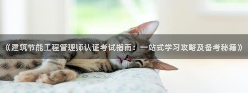 E尊国际网站：《建筑节能工程管理师认证考试指南：一站式学习攻略及备考秘籍》