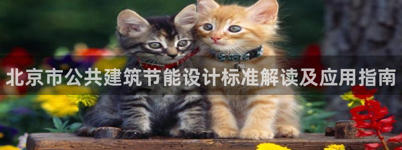 尊亿娱乐国际官网：北京市公共建筑节能设计标准解读及应用指南