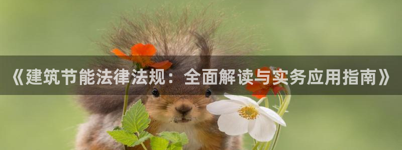e尊电竞：《建筑节能法律法规：全面解读与实务应用指南》