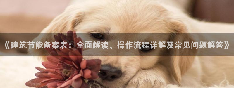 e尊平台：《建筑节能备案表：全面解读、操作流程详解及常见问题解答》