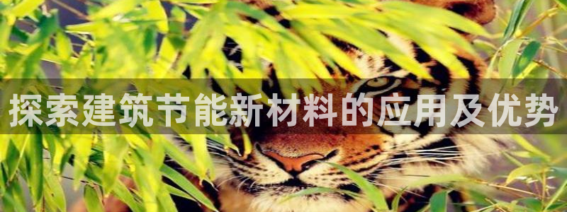 e尊国际-e尊国际官网：探索建筑节能新材料的应用及优势