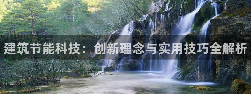 E尊国际