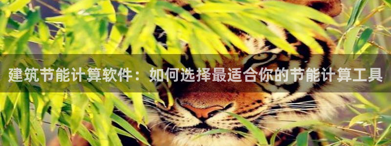e尊国际-可可计划