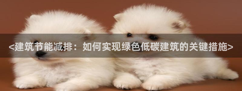 e尊国际-e尊国际官网：<建筑节能减排：如何实现绿色低碳建筑的关键措施>