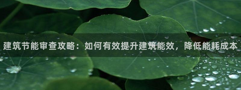 e尊国际平台：建筑节能审查攻略：如何有效提升建筑能效，降低能耗成本