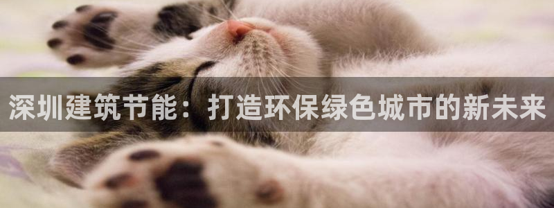 e尊国际网址：深圳建筑节能：打造环保绿色城市的新未来