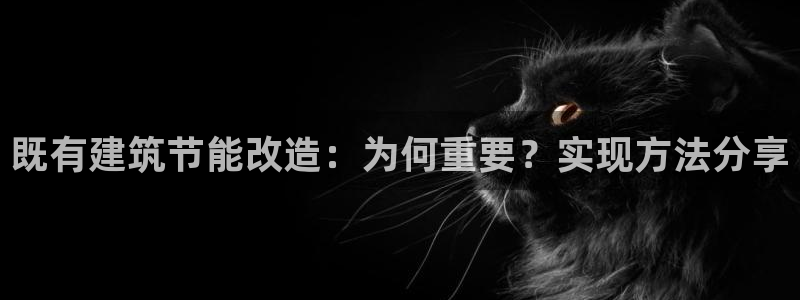 e尊国际-可可计划：既有建筑节能改造：为何重要？实现方法分享