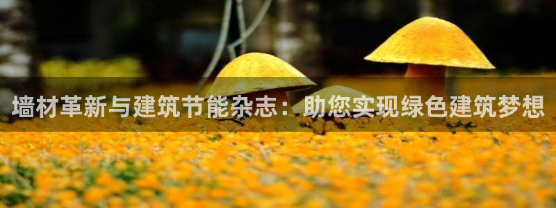 e尊国际客户端下载：墙材革新与建筑节能杂志：助您实现绿色建筑梦想