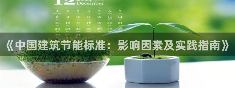 e尊国际7779：《中国建筑节能标准：影响因素及实践指南》