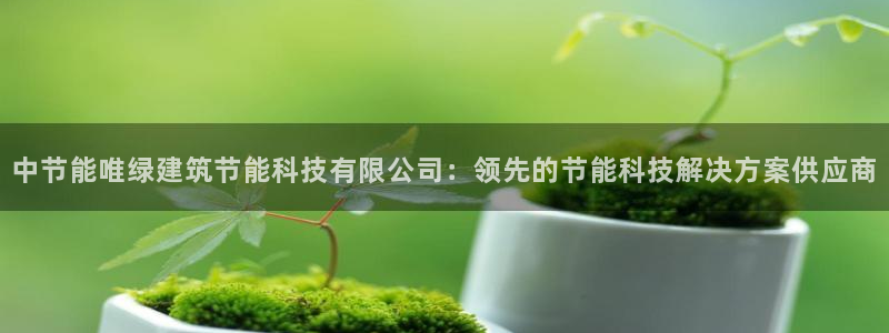 e尊体育：中节能唯绿建筑节能科技有限公司：领先的节能科技解决方案供应商