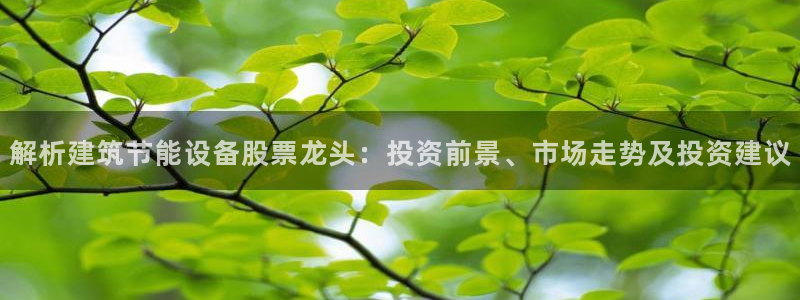 e尊国际的手机登录网站：解析建筑节能设备股票龙头：投资前景、市场走势及投资建议