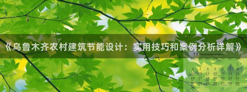 e尊平台：《乌鲁木齐农村建筑节能设计：实用技巧和案例分析详解》