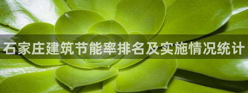 e尊国际的手机登录网站：石家庄建筑节能率排名及实施情况统计
