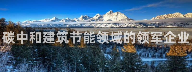 e尊官网：碳中和建筑节能领域的领军企业