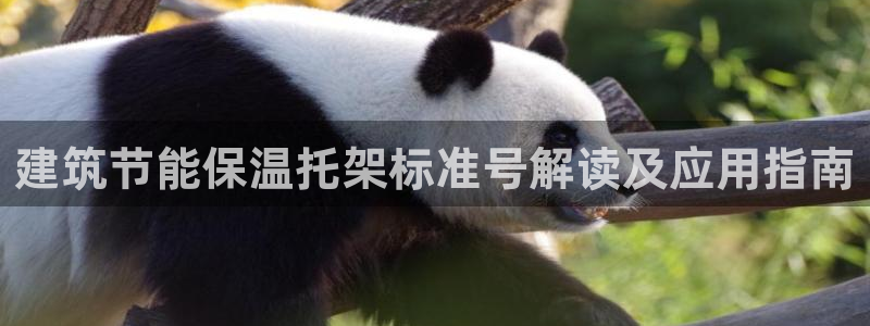 e尊国际平台：建筑节能保温托架标准号解读及应用指南