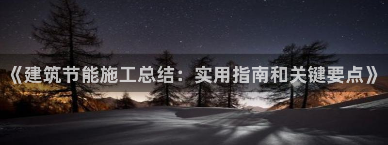 谁知道e尊国际的网址：《建筑节能施工总结：实用指南和关键要点》