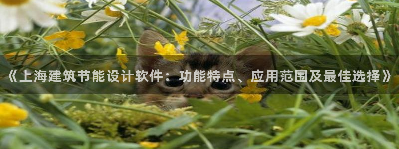 e尊国际娱乐官网下载：《上海建筑节能设计软件：功能特点、应用范围及最佳选择》