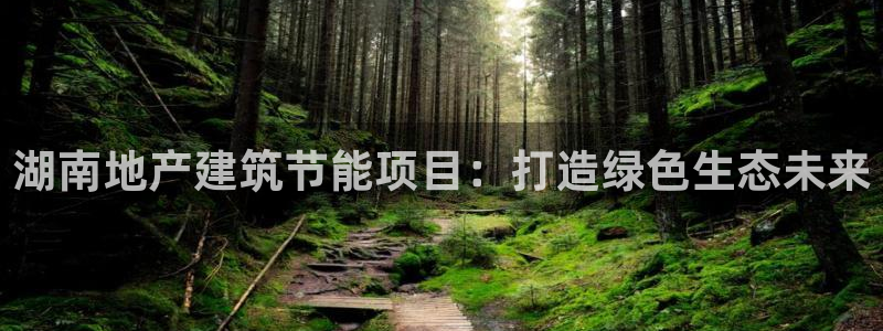e尊国际是个黑网：湖南地产建筑节能项目：打造绿色生态未来