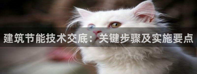 尊亿娱乐国际官网：建筑节能技术交底：关键步骤及实施要点