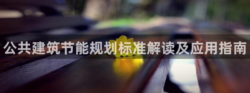 e尊国际客服：公共建筑节能规划标准解读及应用指南