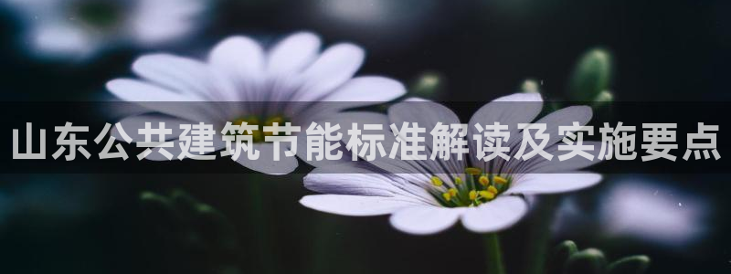 谁知道e尊国际的网址：山东公共建筑节能标准解读及实施要点