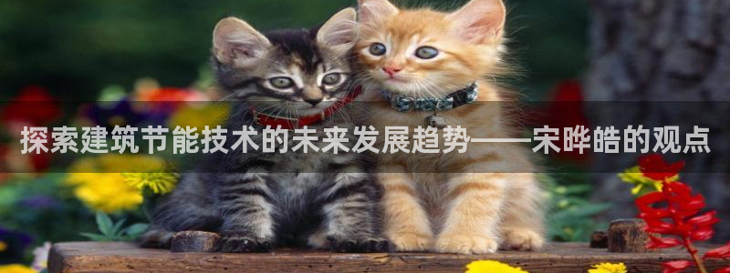 e尊国际网址：探索建筑节能技术的未来发展趋势——宋晔皓的观点