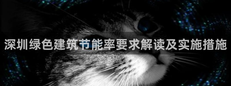 e尊国际app
