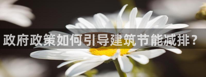 e尊国际是干什么的：政府政策如何引导建筑节能减排？