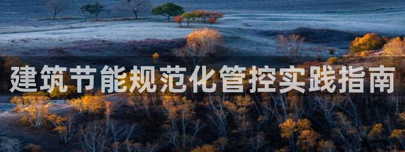 谁知道e尊国际的网址：建筑节能规范化管控实践指南