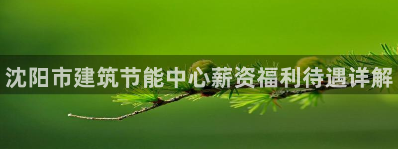 e尊国际-可可计划：沈阳市建筑节能中心薪资福利待遇详解