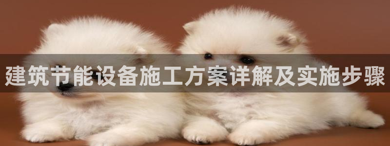 e尊国际-e尊国际官网：建筑节能设备施工方案详解及实施步骤