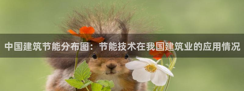 e尊国际是个黑网：中国建筑节能分布图：节能技术在我国建筑业的应用情况