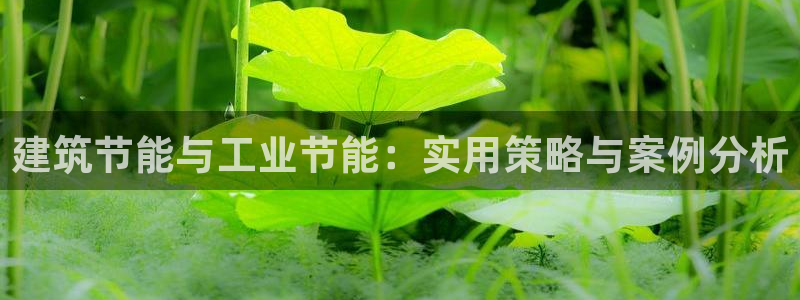 尊亿游戏国际官网