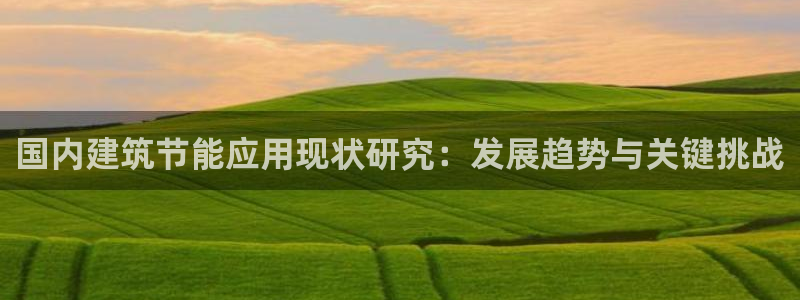 E尊国际网站：国内建筑节能应用现状研究：发展趋势与关键挑战