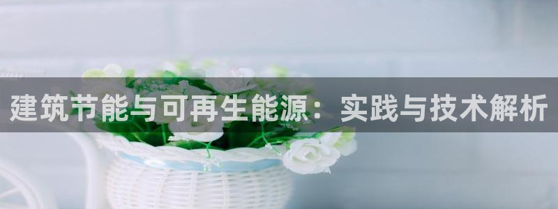 e尊国际平台：建筑节能与可再生能源：实践与技术解析