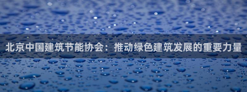 e尊国际客户端：北京中国建筑节能协会：推动绿色建筑发展的重要力量