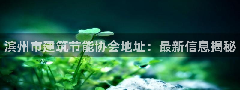 e尊国际娱乐官网地址：滨州市建筑节能协会地址：最新信息揭秘