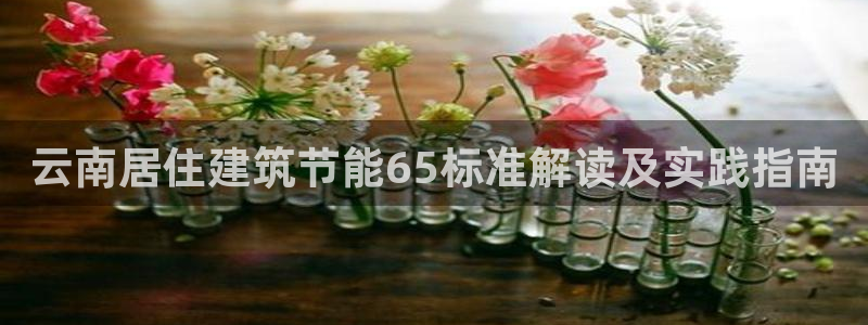 E尊国际网站：云南居住建筑节能65标准解读及实践指南
