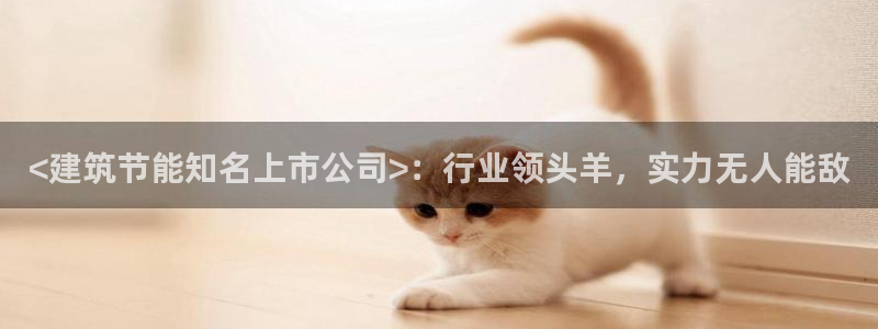 e尊国际-e尊国际官网：<建筑节能知名上市公司>：行业领头羊，实力无人能敌