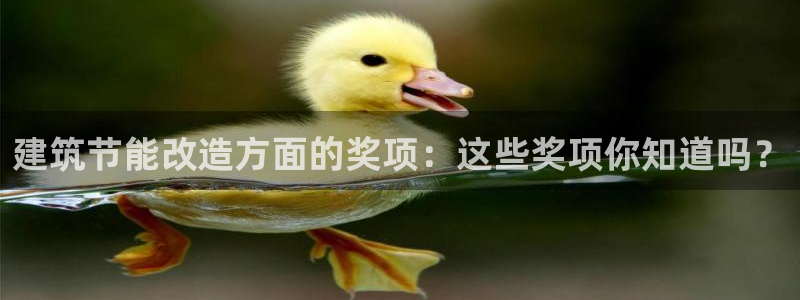 E尊国际