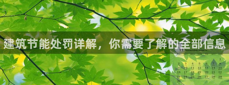 e尊官网：建筑节能处罚详解，你需要了解的全部信息