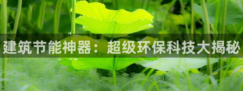 e尊国际平台：建筑节能神器：超级环保科技大揭秘